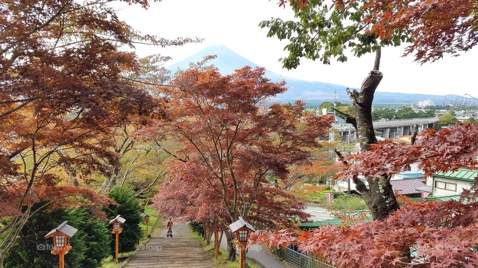 Beautiful views of Mount Fuji