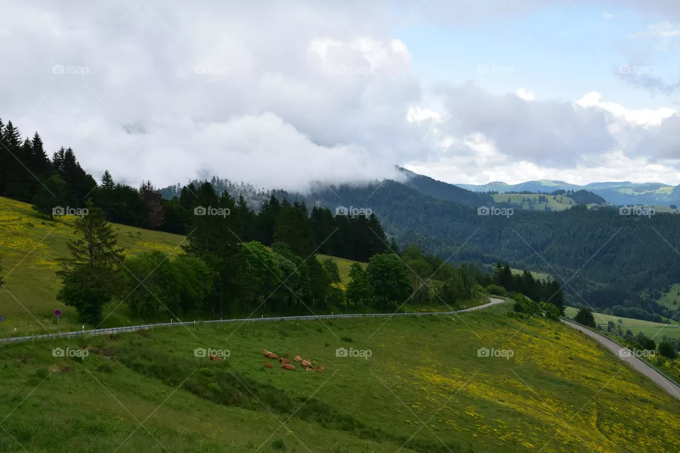 Berglandschaft