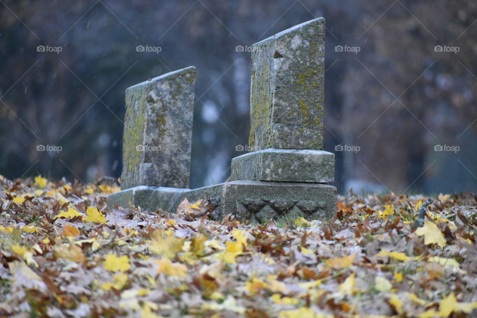 Fall graveyard