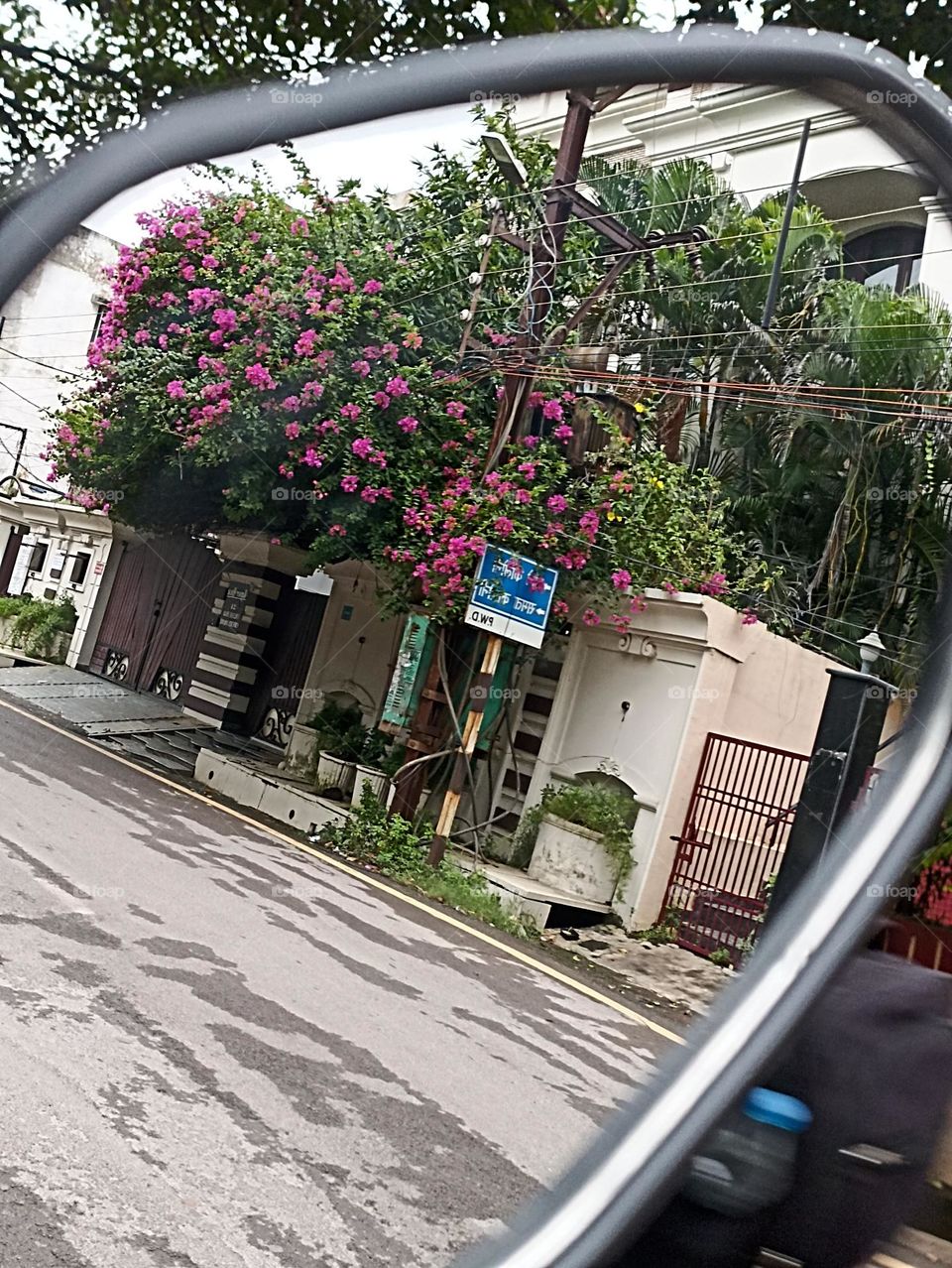 every plant is a good teacher but as in every crowd there are always a few loud mouth