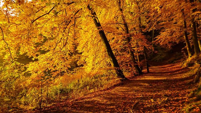 Autumnal