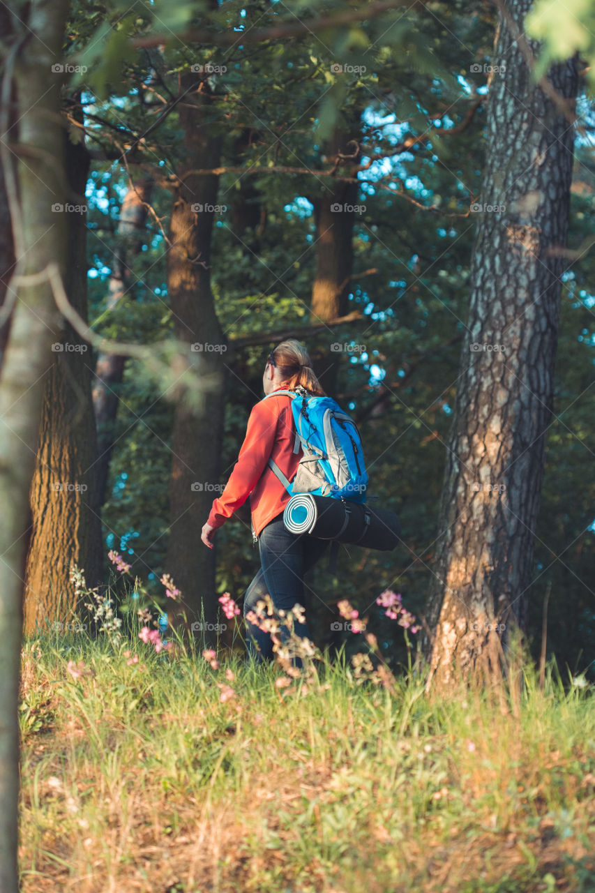 Young woman hiker with backpack walking along the path through the forest during summer vacation trip