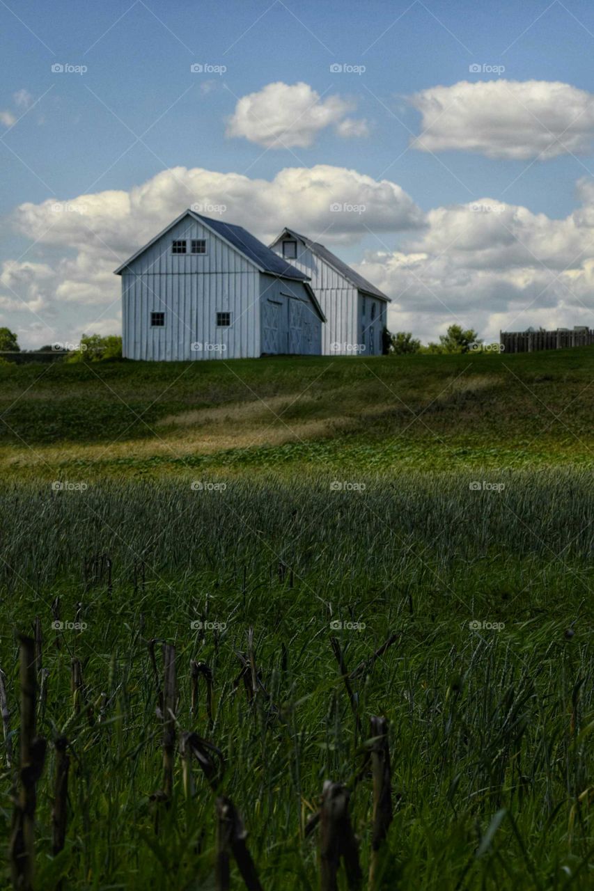 Barns in Shadow and Light