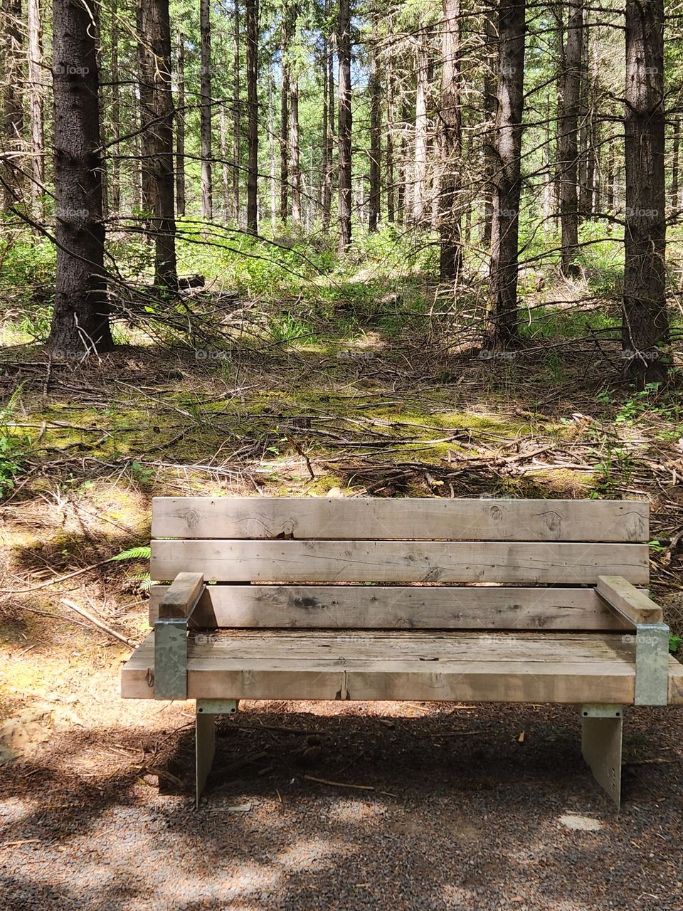 A place to rest on the walking trail through an Oregon nature park