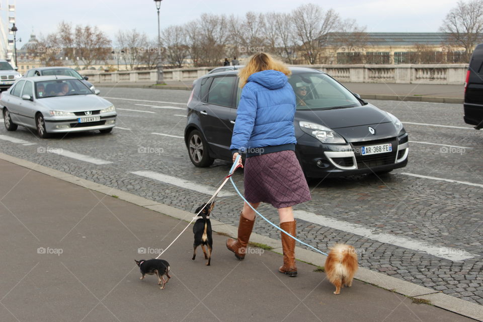 Woman and her dogs walks in the city of Paris