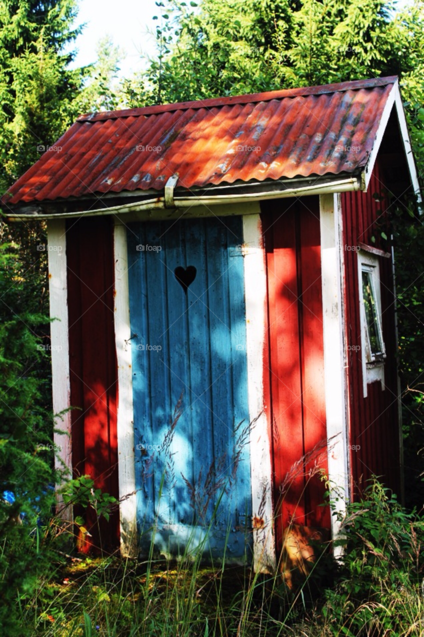 blue red trees forrest by merethe