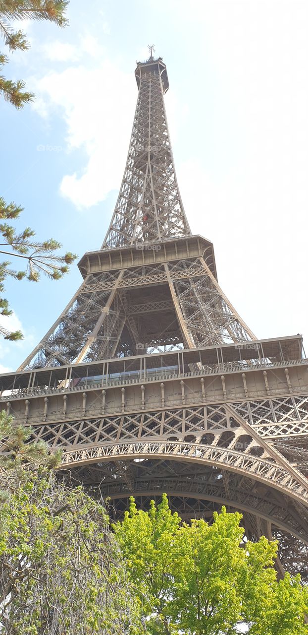 From gardens at the Eiffel Tower.