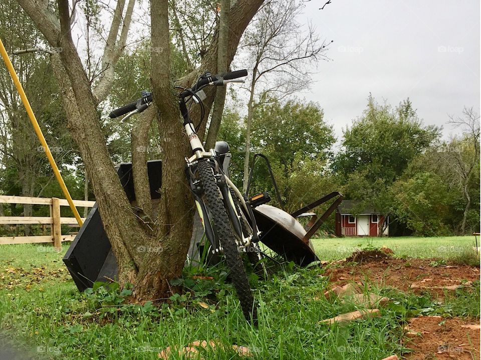 Working, family life