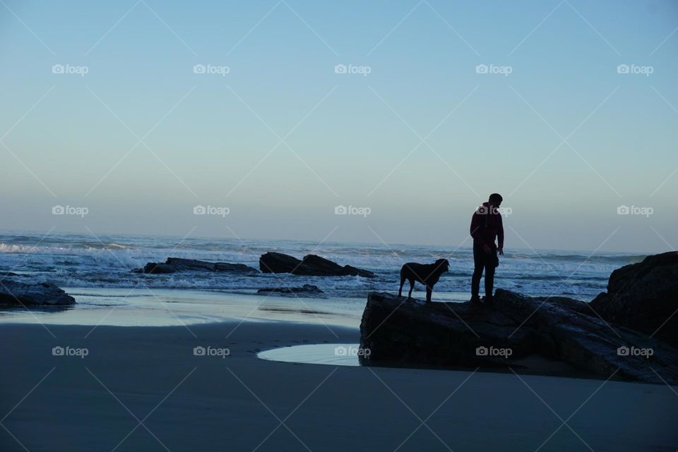 Beach#ocean#human#dog