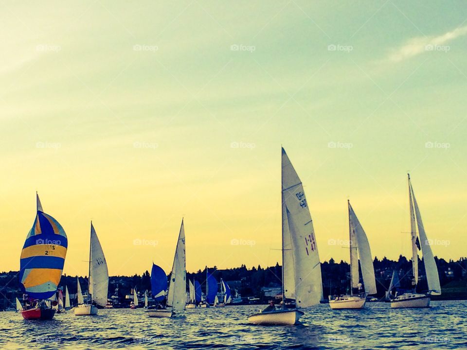 Sailing regatta 