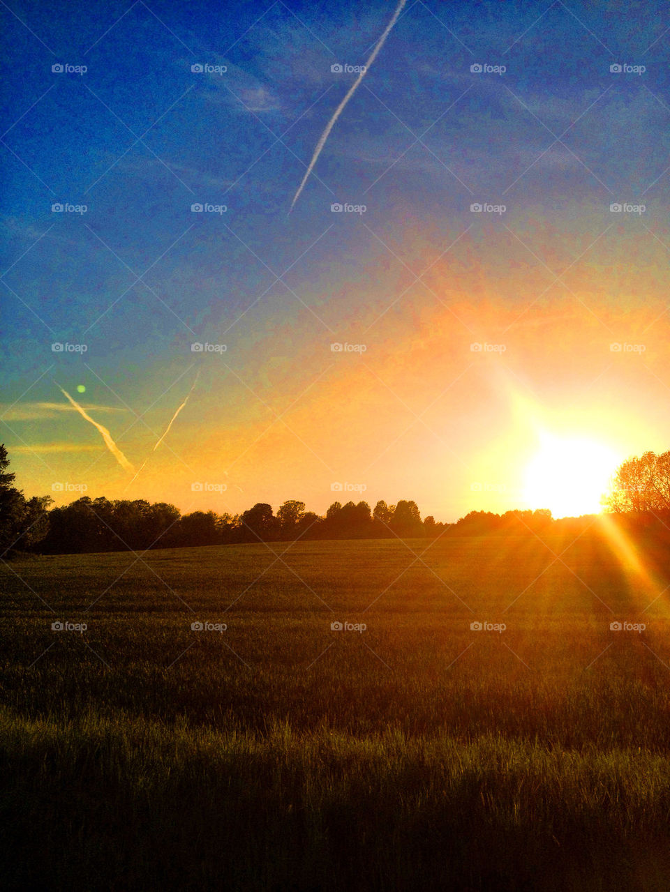 View of landscape during sunset