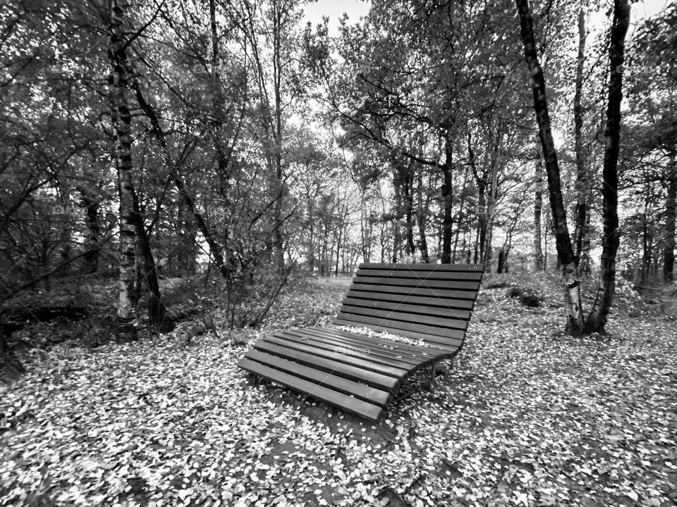 Bench