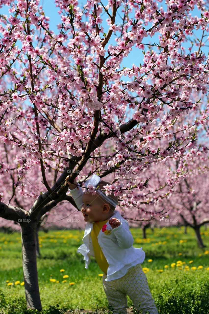 Baby enjoying spring