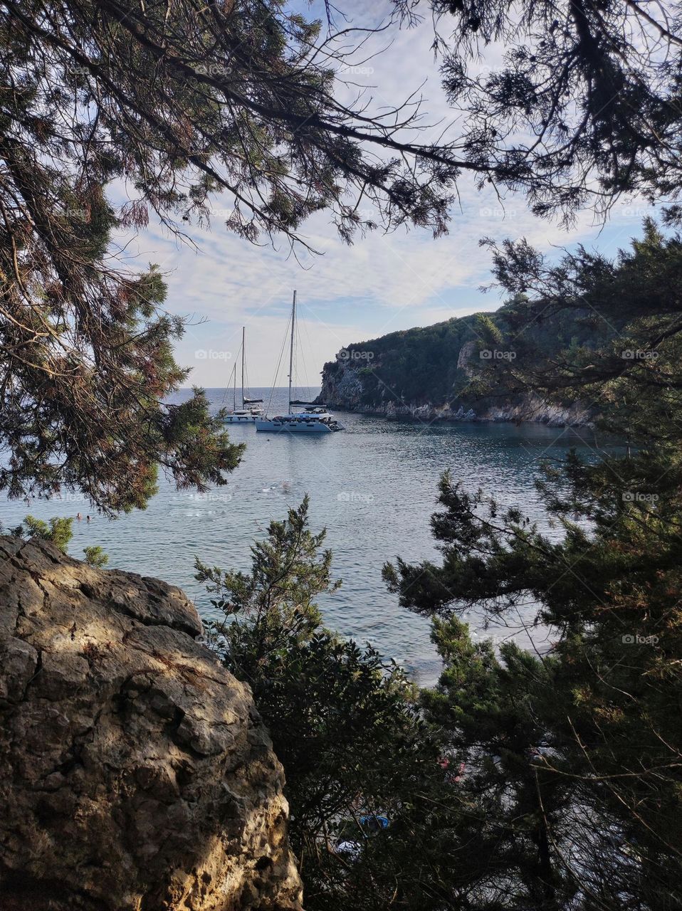 A beach view through tree branches