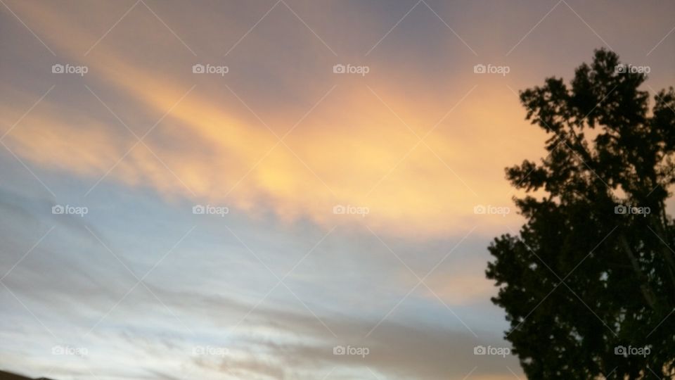 Sunset. Playing outside