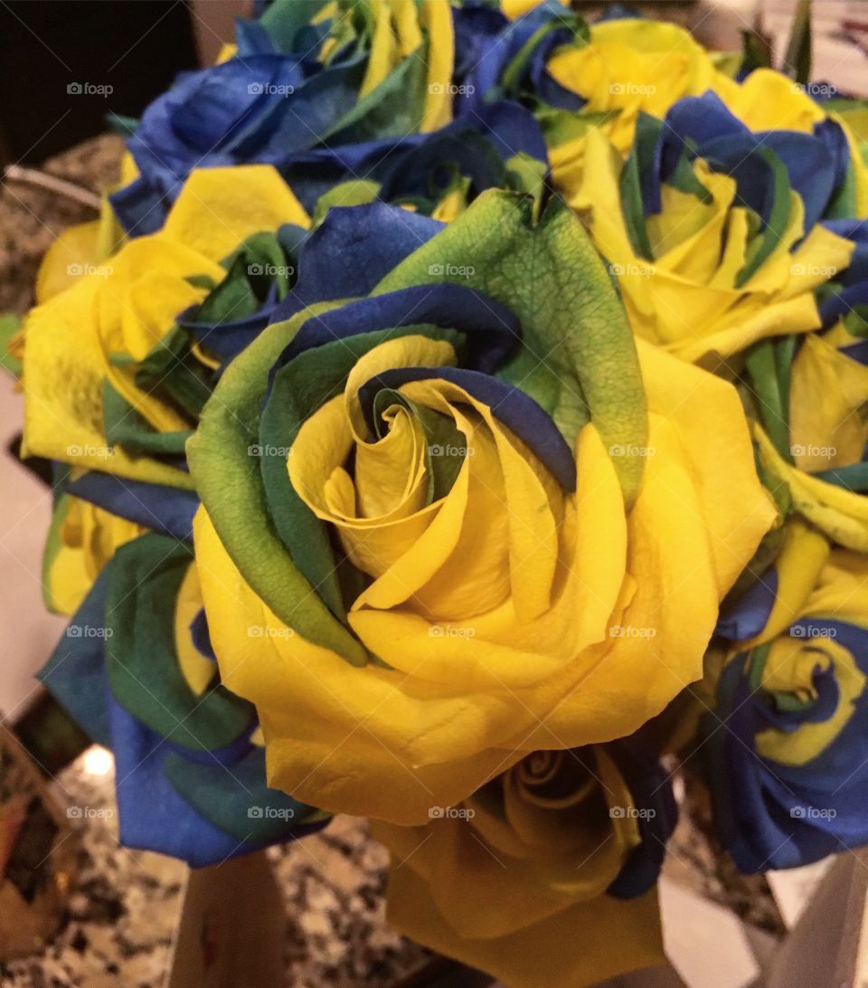 Blue and yellow roses