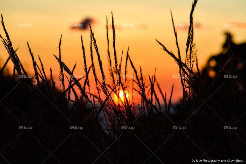 Sunset Heredia - Costa Rica