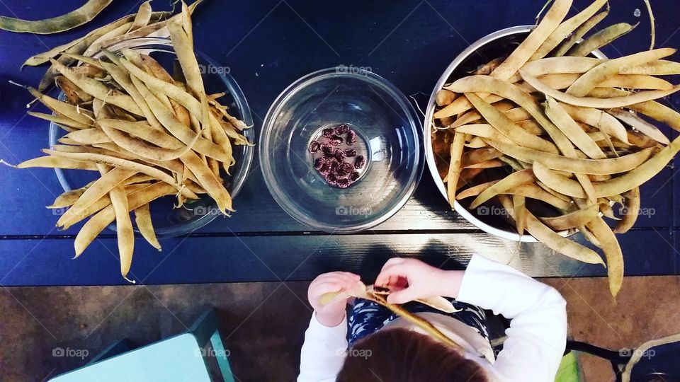 opening kidney beans