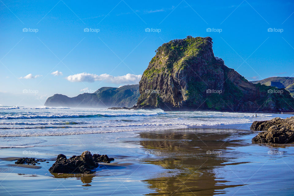 piha beach auckland