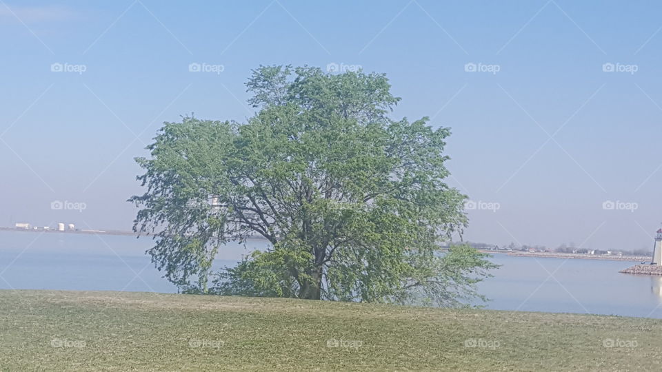 Tree Lake Hefner
