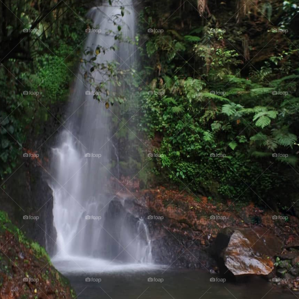 Curug Ngumpet - Bogor Jawa Barat Indonesia Exotic Natural