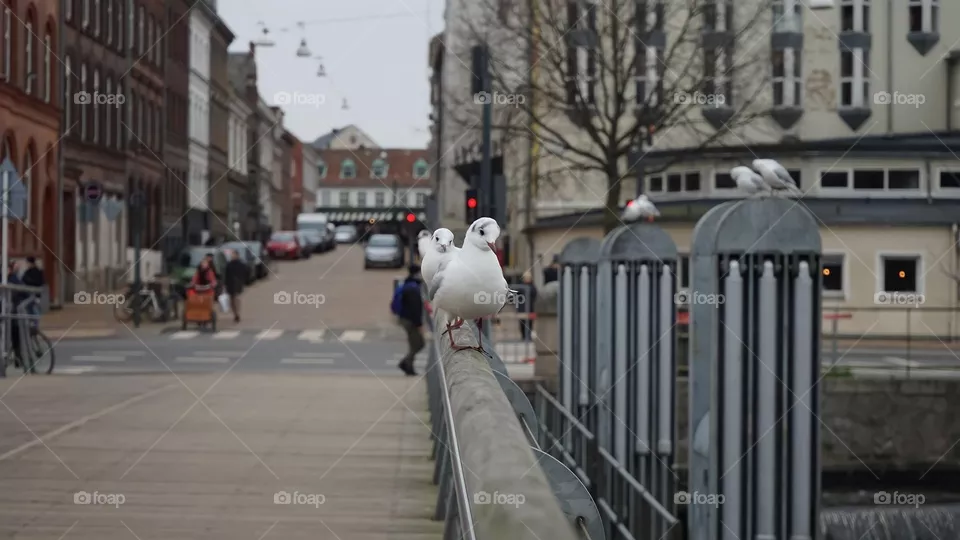 Walk regularly