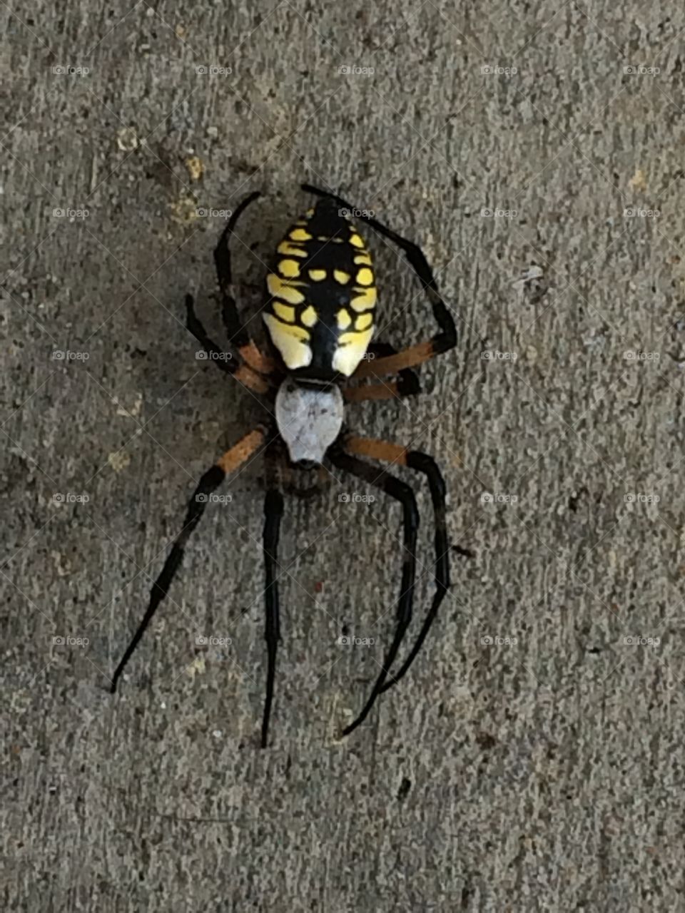 Where are you headed?