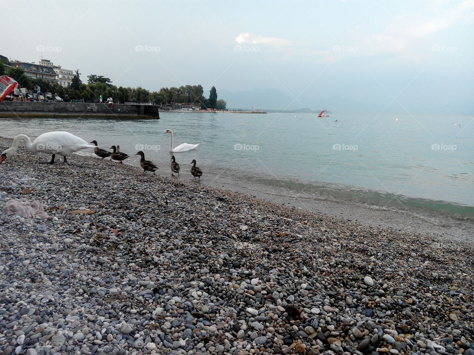Water, Beach, No Person, Sea, Seashore