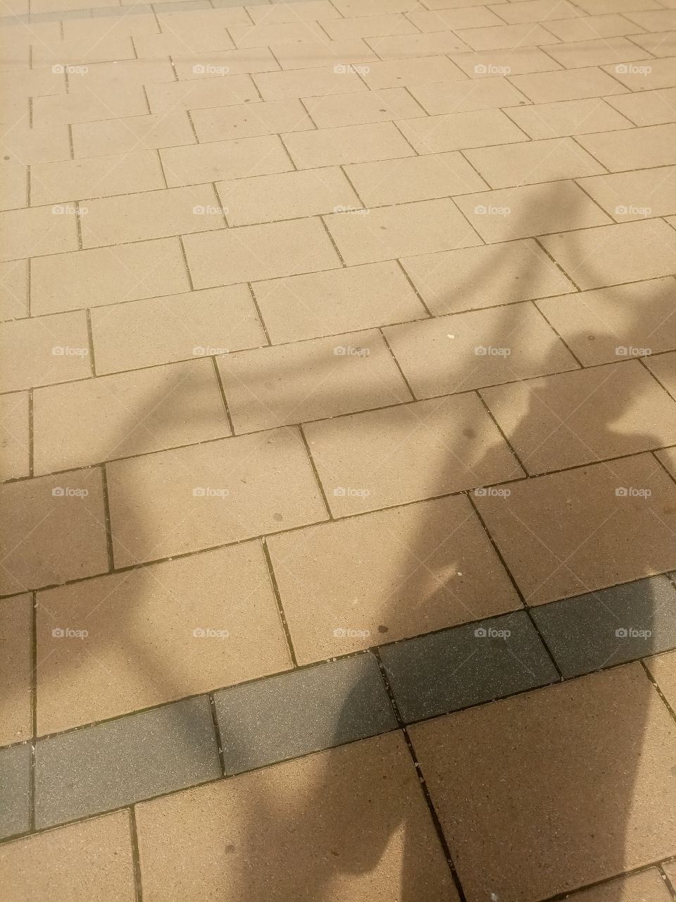 Looking for the Shadow