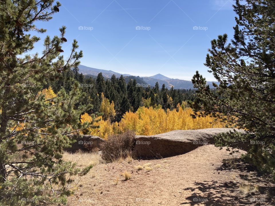 Autumn Mountain View 