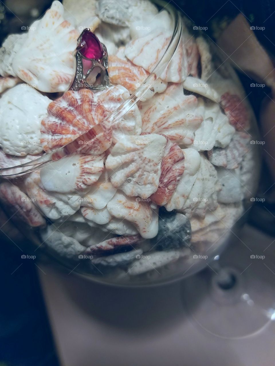 Cat Paw Seashell Wine Glass