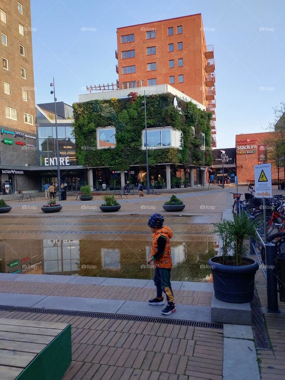 Urban nature- plants