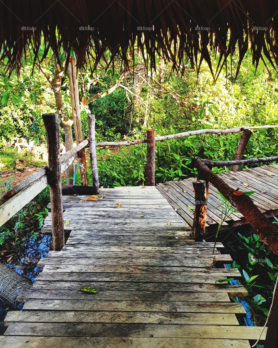 Wooden walkway across water