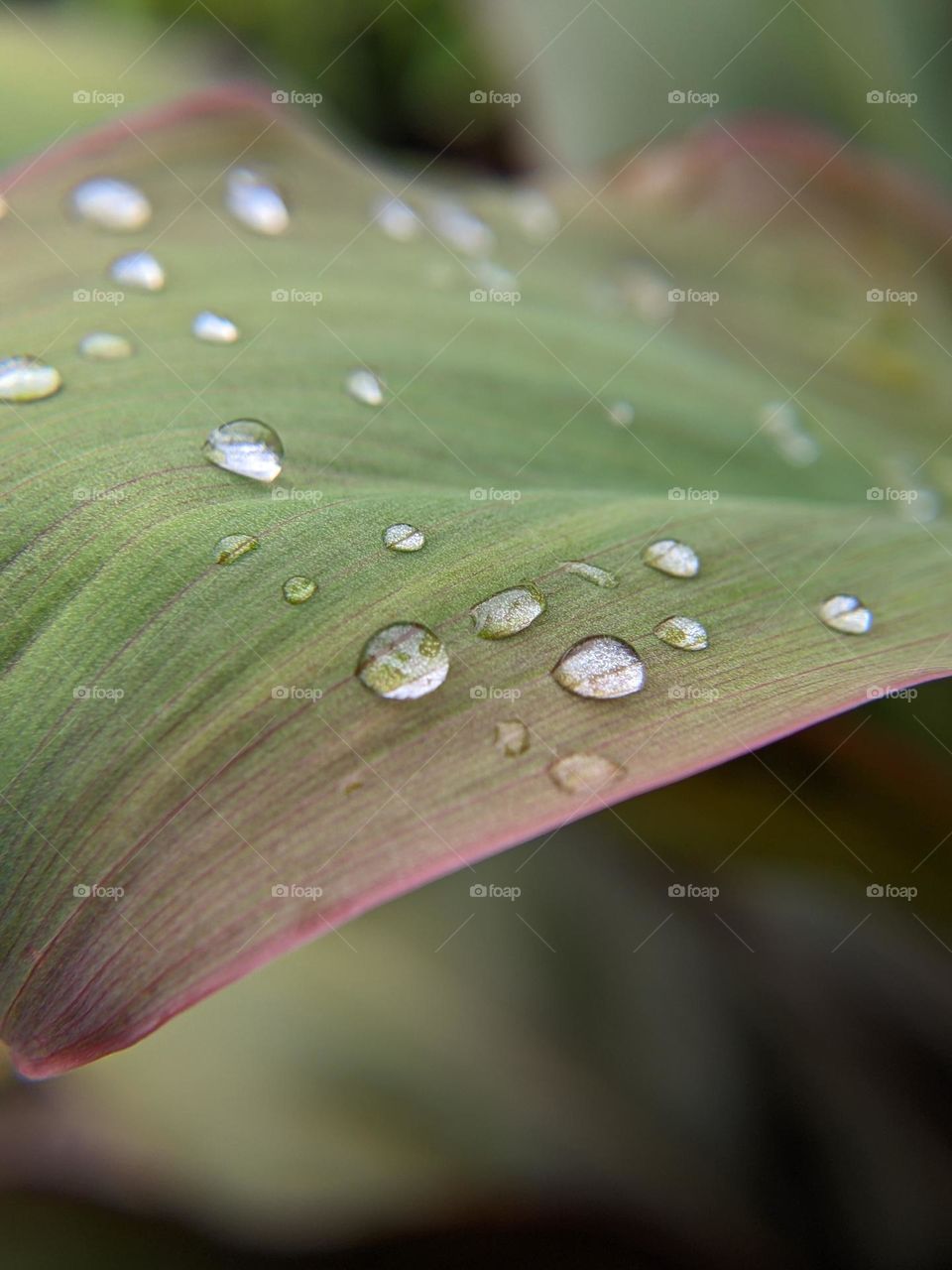 water droplets