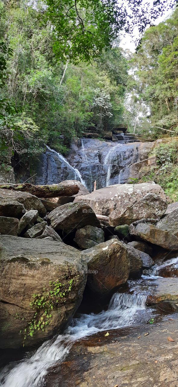 Beauty of the Waterfall