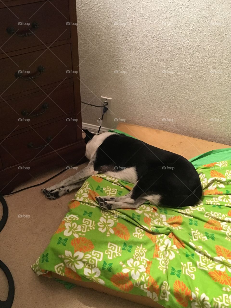 When your too tired to get back on the bed after a long day you don't care where you fall asleep. 