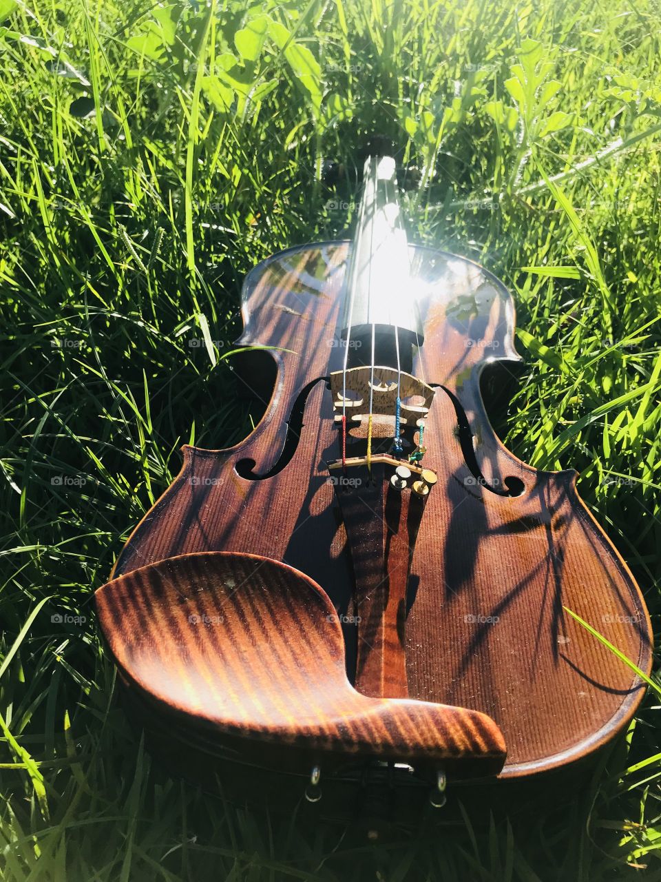 Violin Cremona 