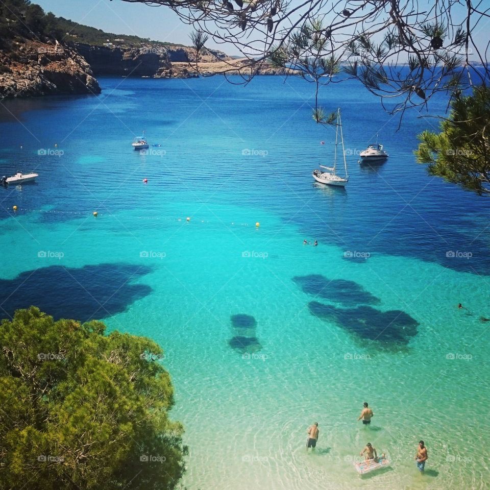 Scenic view of beach