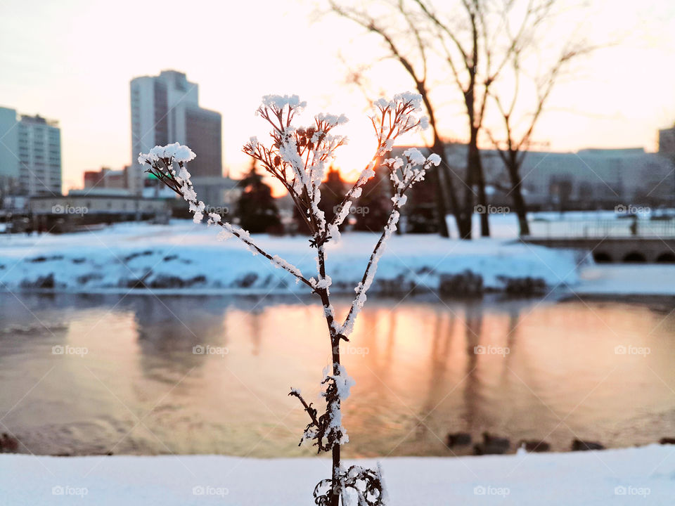 City Quay in the winter during sunset