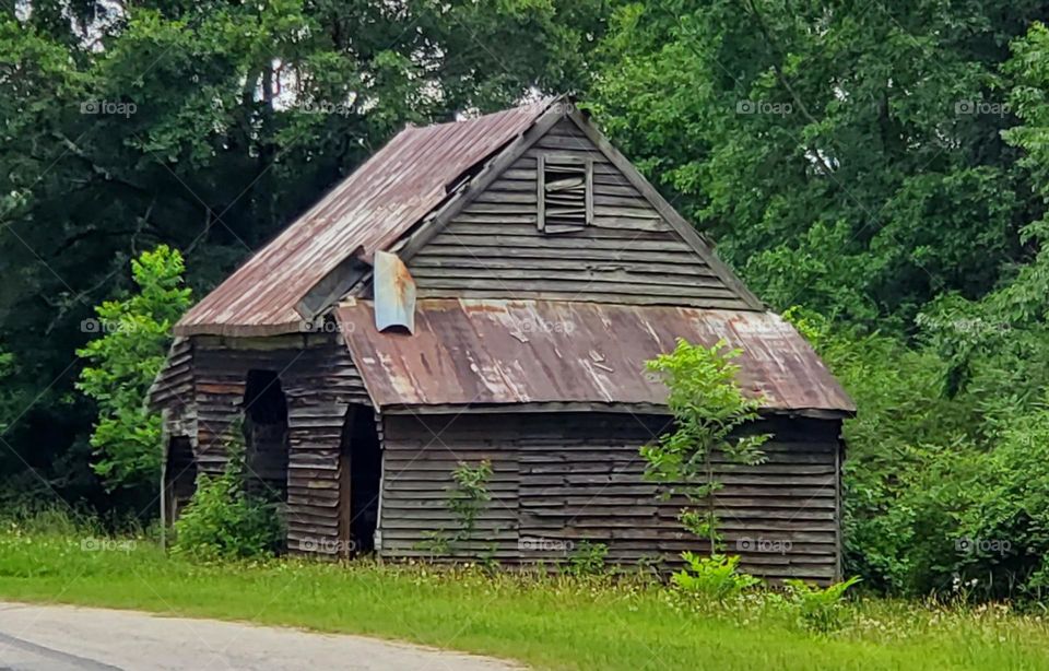 traveling a country road we see an old barn located in front of a wooded area and the barn has weathered wood and a rusty metal roof with a section peeling off.