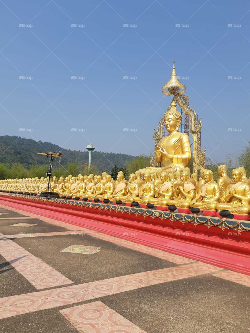 A line of golden Buddhas