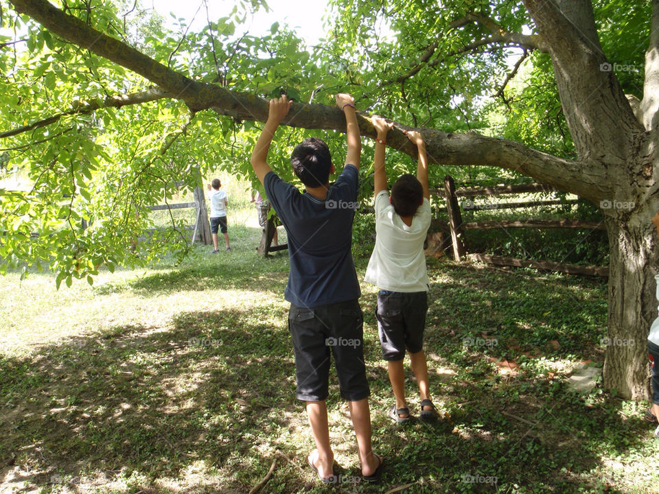nature children fun trees by splicanka