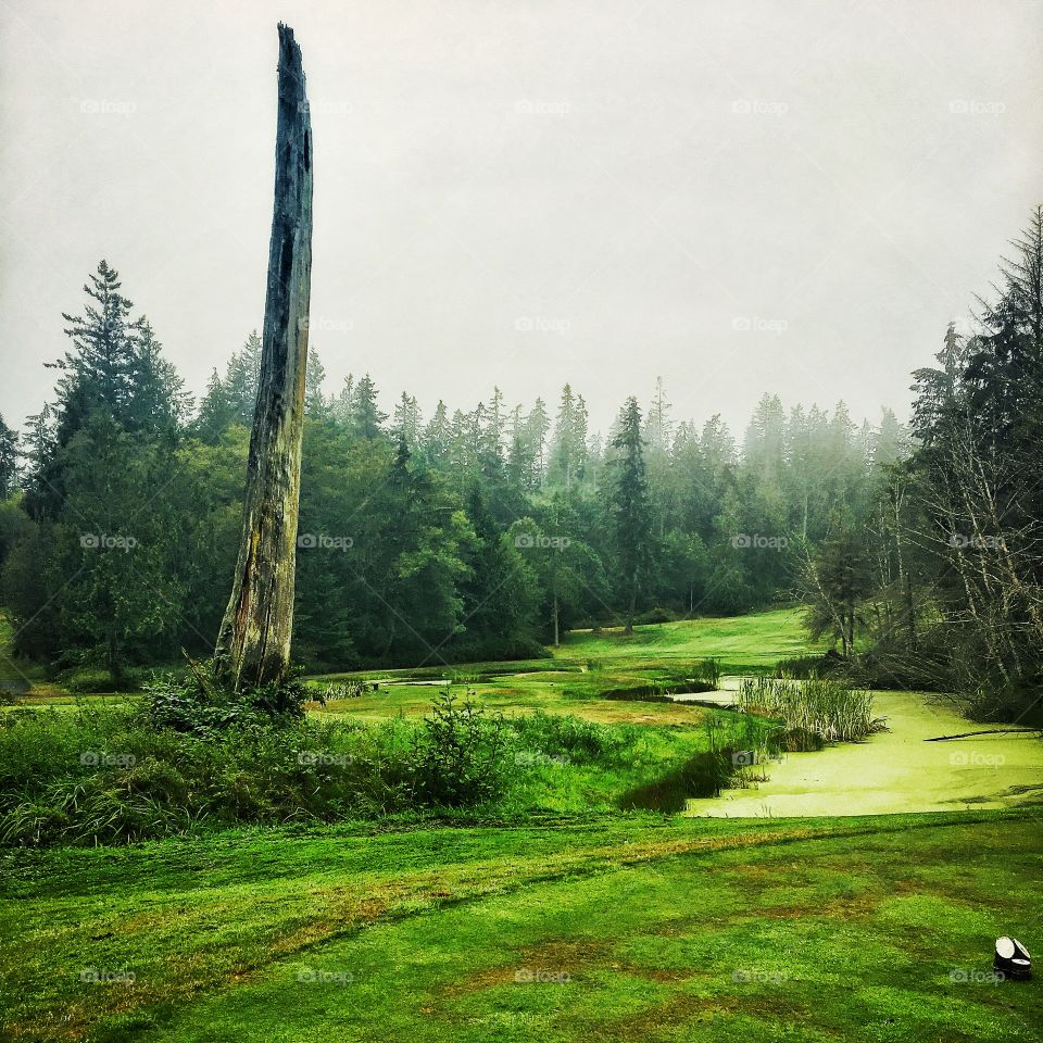 18th Hole at Port Ludlow Golf Course on the Olympic Peninsula, Washington State
