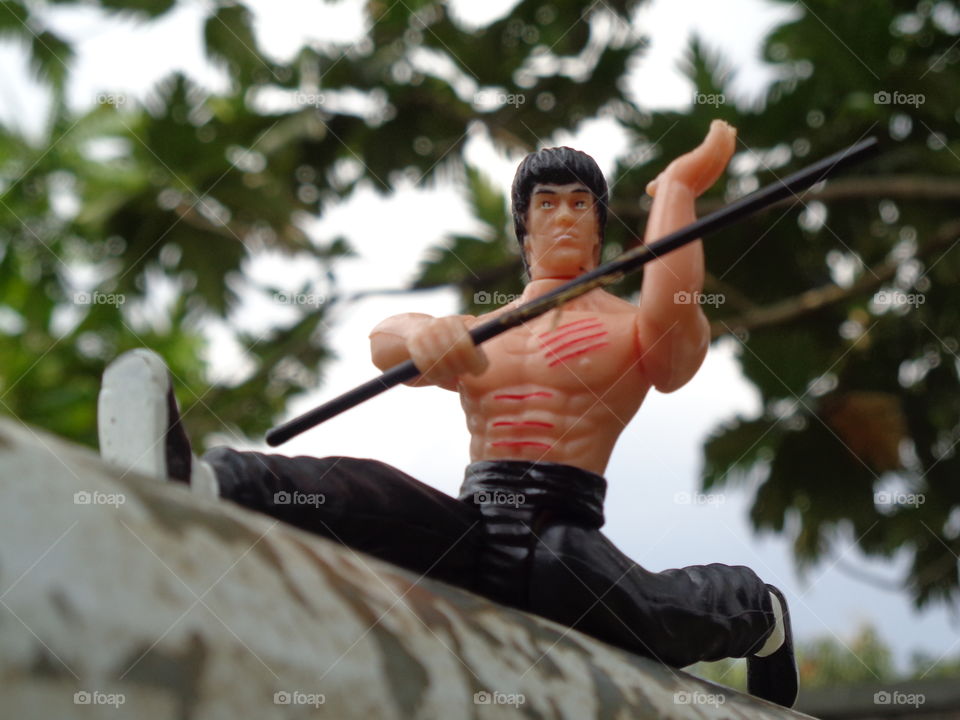 Action Figure Bruce Lee