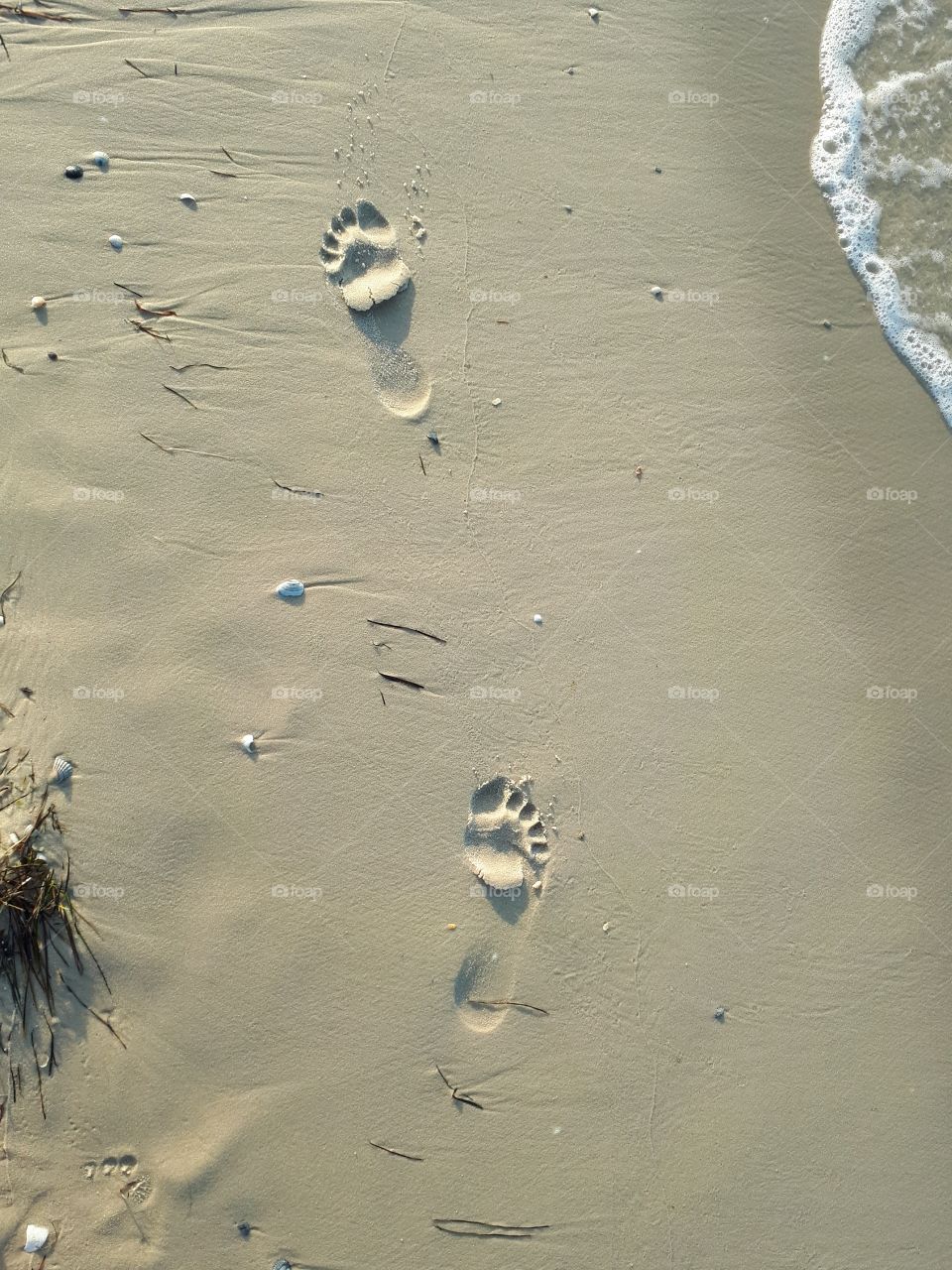 Footprints at the sand beach