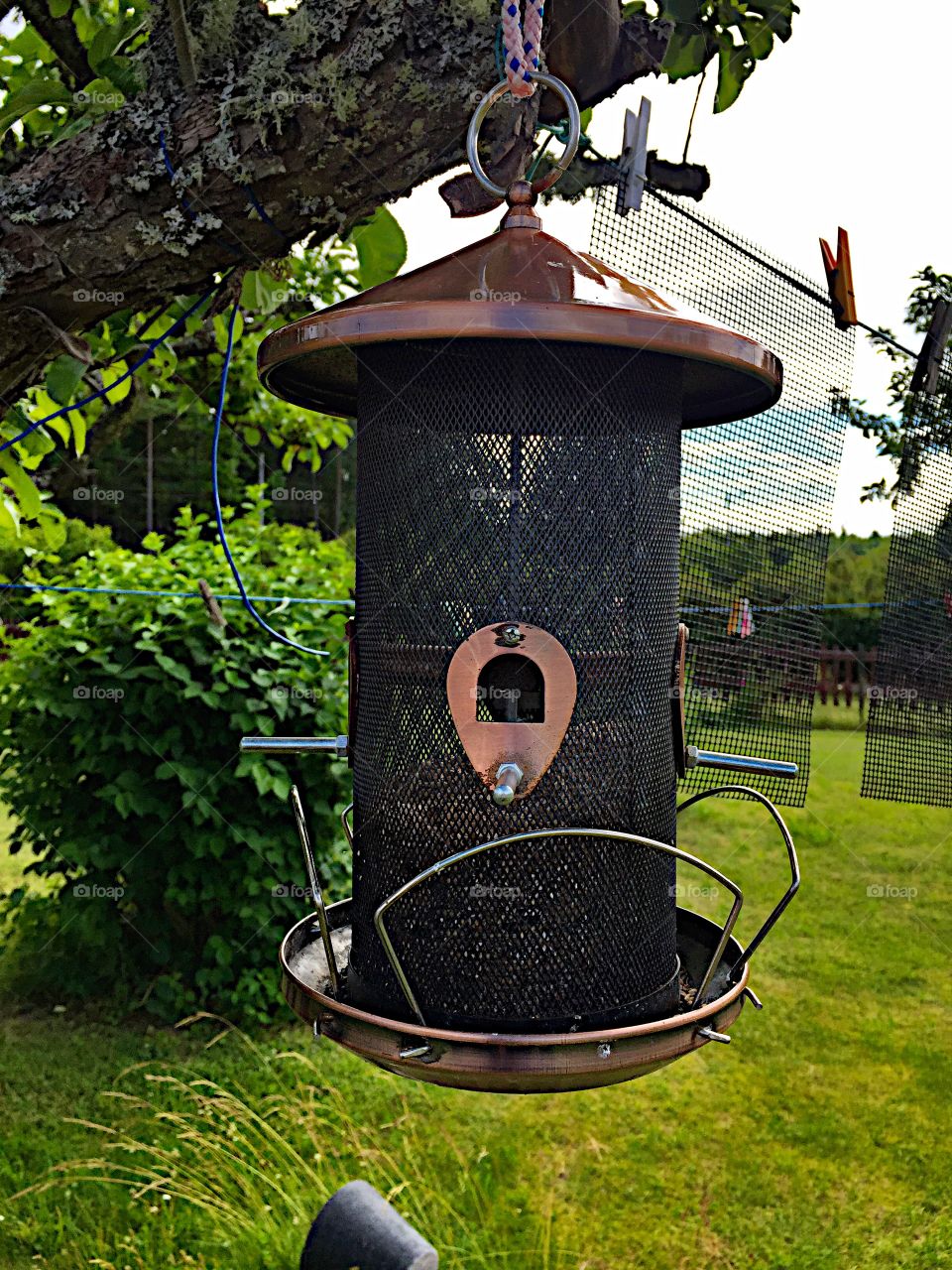 Bird houses with food!