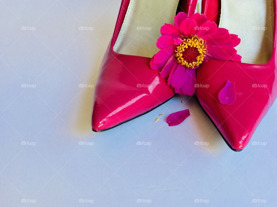 My Pink Pointed Shoes With Flower