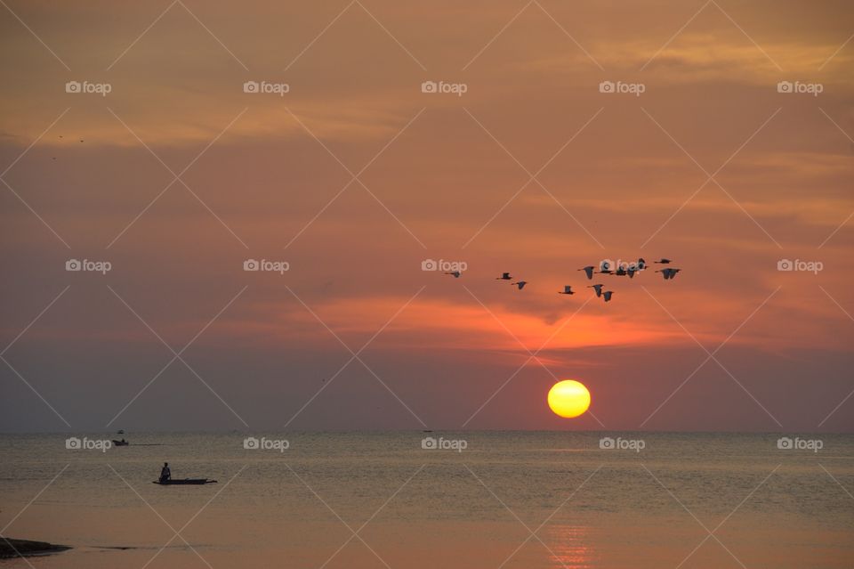 Sunset with flying birds beach seaside putatan.