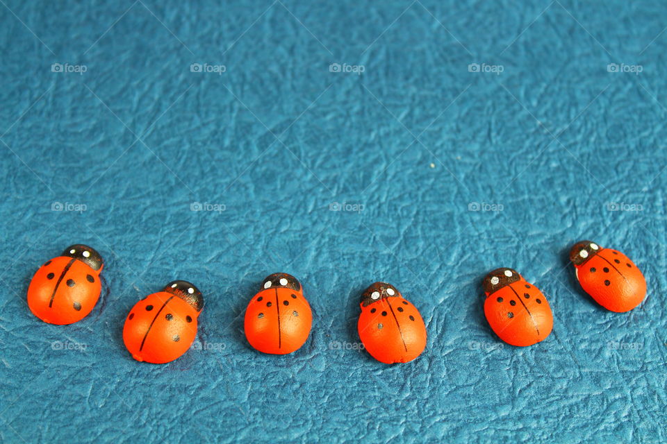 ladybug decorations