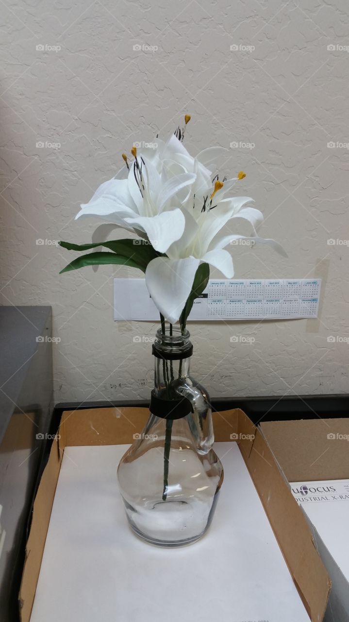 Lamp, Flower, Glass Items, Bulb, Vase